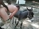 TabooZoox