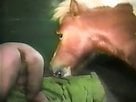 Animal Porn Zilla