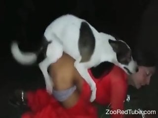 Nude Latina slut ass fucked by the dog in midnight XXX kinks