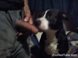 Special treat for this nude man during his home jerk off cam session