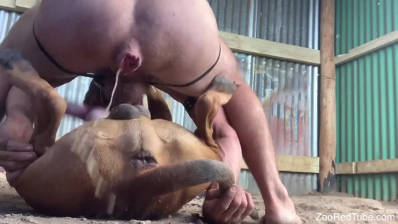 Man roughly fucks his dog in scenes that seem brutal