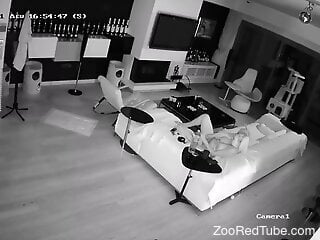 Home alone woman filmed in secret when she masturbates with the dog
