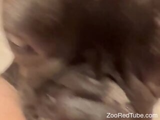 Horny zoophile lady is being licked by a dog