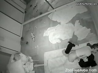 Hidden cam zoophilia fuck porn tube footage