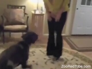 Horny slut indulge in amateur zoo threesome