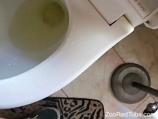Dog licks the golden stream and head of dick