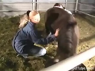 Two lesbians have fun xxx with a horse