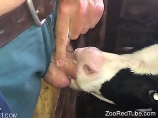 Naked male fulfills his sexual needs during zoophilia