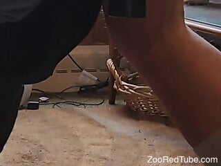 Amateur man inserts cock in a jar filled with insects