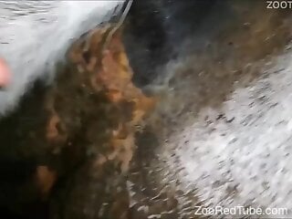 Zoophile is having a very kinky zoo sex