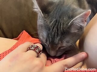 Grey kitty is licking pussy during zoo porn