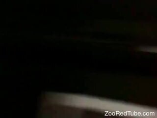 Redhead experiences oral sex with her dog in late-night kinks