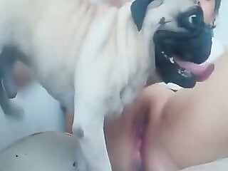 ZooAnimalPorn