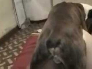 Bestiality dog fuck