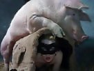 Zoo porno and animal sex