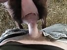 Sexy Beastiality Porn Videos